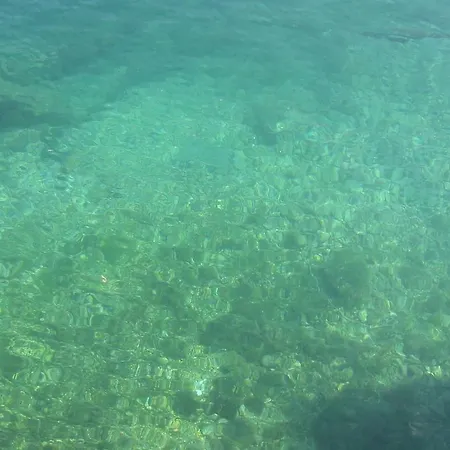 Waterfront Ivan * Podgora (Split-Dalmatia)